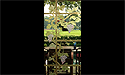 Stained Glass Doors - Architectural Art Glass in South Carolina
