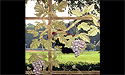 Stained Glass Doors - Architectural Art Glass in South Carolina